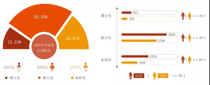 學(xué)歷分布與性別比例